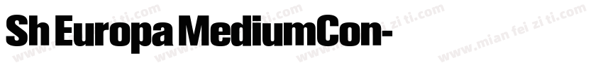 Sh Europa MediumCon字体转换